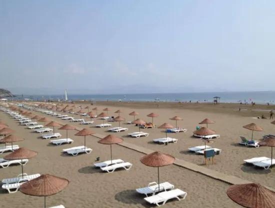 Sarıgerme Hakkında